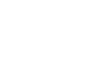 Millionaire Mentor