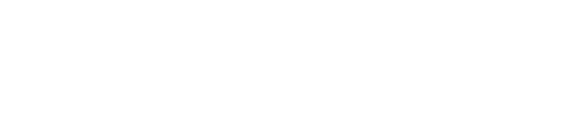 The Shoe Fairy
